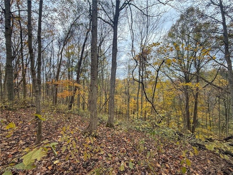 Pearl Wood Rd, Albany, OH 45710 Photo 14