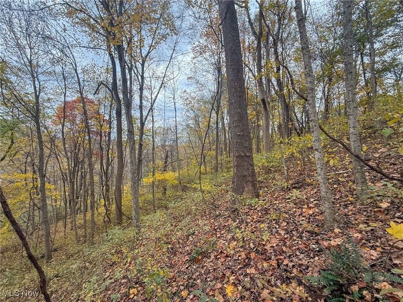 Pearl Wood Rd, Albany, OH 45710 Photo 16