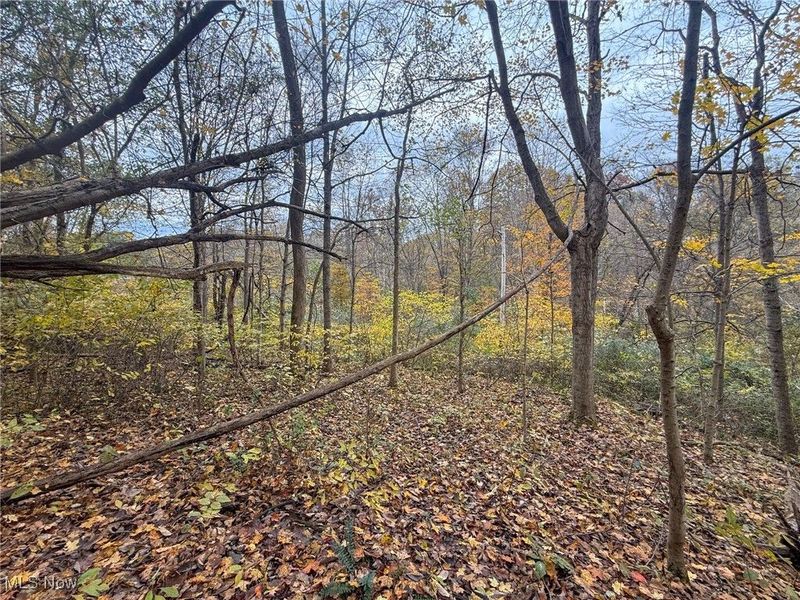 Pearl Wood Rd, Albany, OH 45710 Photo 18