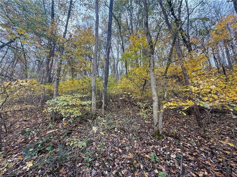 Pearl Wood Rd, Albany, OH 45710 Photo 19