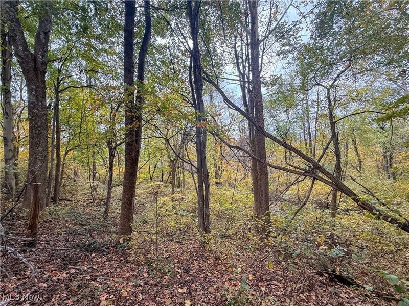 Pearl Wood Rd, Albany, OH 45710 Photo 2