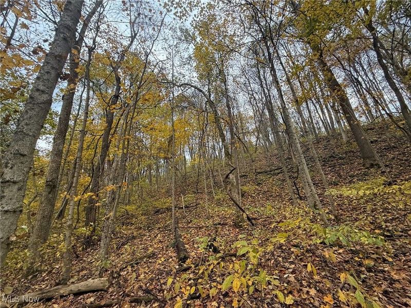 Pearl Wood Rd, Albany, OH 45710 Photo 22