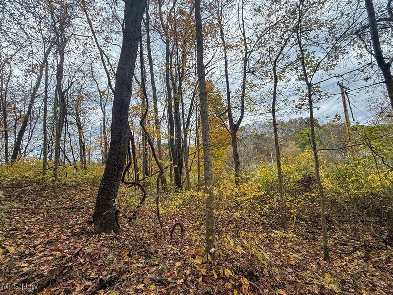 Pearl Wood Rd, Albany, OH 45710 Photo 23