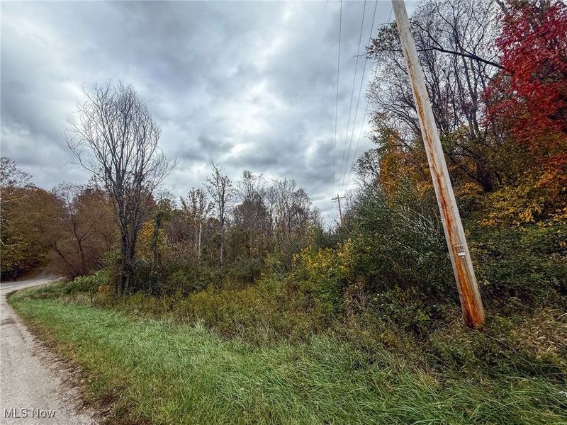 Pearl Wood Rd, Albany, OH 45710 Photo 24