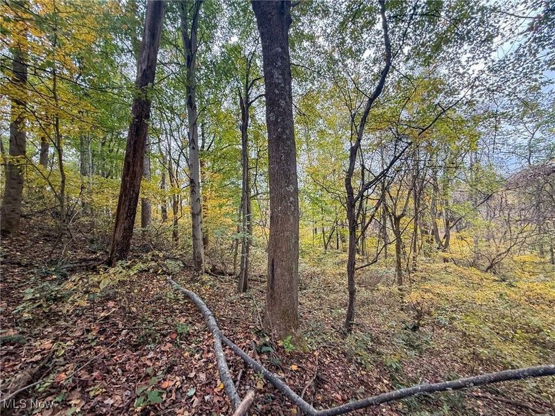 Pearl Wood Rd, Albany, OH 45710 Photo 3