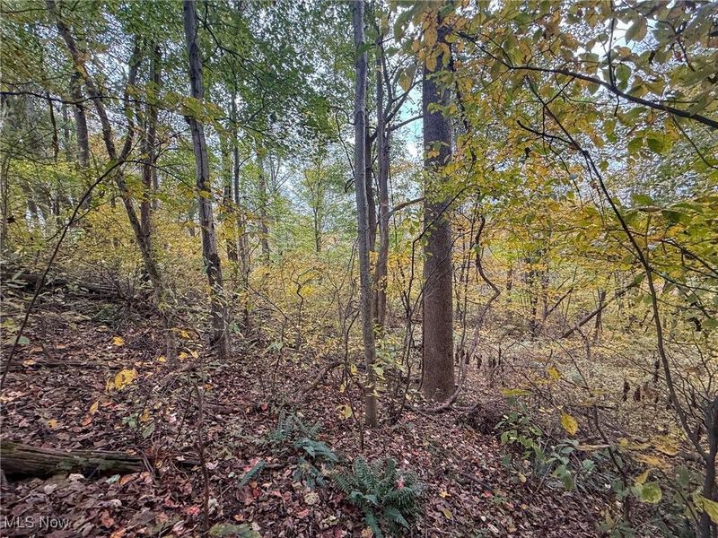 Pearl Wood Rd, Albany, OH 45710 Photo 4