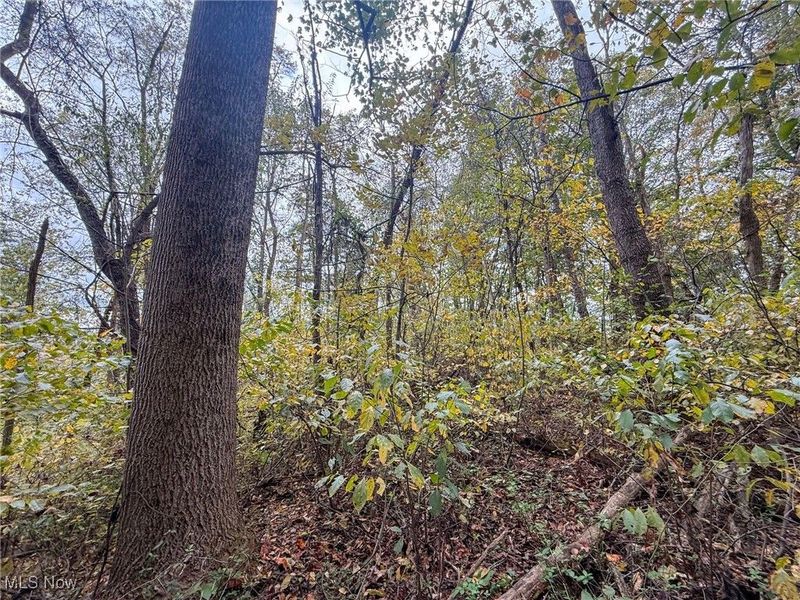 Pearl Wood Rd, Albany, OH 45710 Photo 5