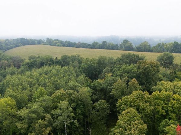 TBD (Lot 3) Goat Back Road, Pepin, WI 54759