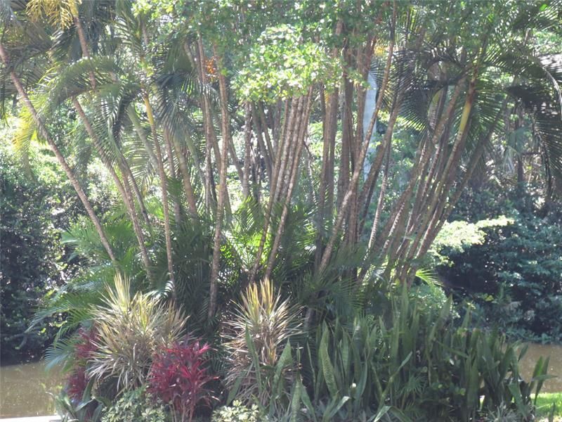 1700 S Ocean Blvd, Unit 5B, Lauderdale by the Sea, FL 33062 Photo