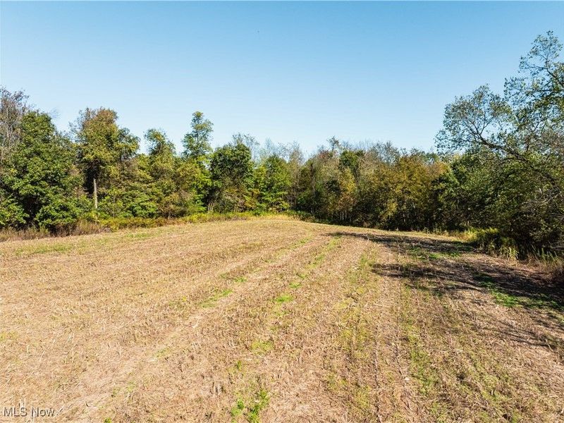 Nonpariel Road, Fredericksburg, OH 44627 Photo 7