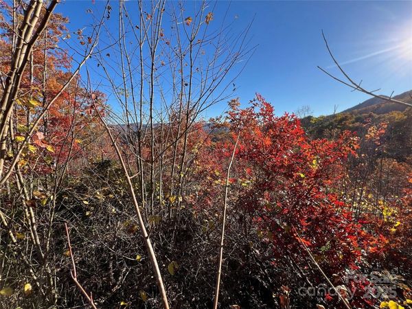 Lot 66 Musket Drive, Almond, NC 28702