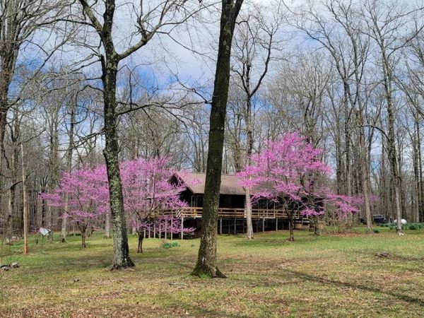 685 254 Highway, Leslie, AR 72645