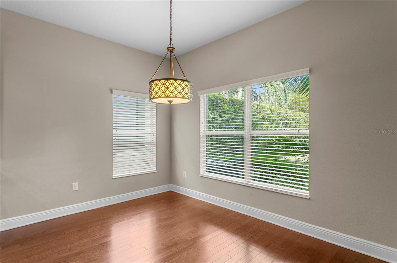 19303 Water Maple Drive, Tampa, FL 33647 Photo
