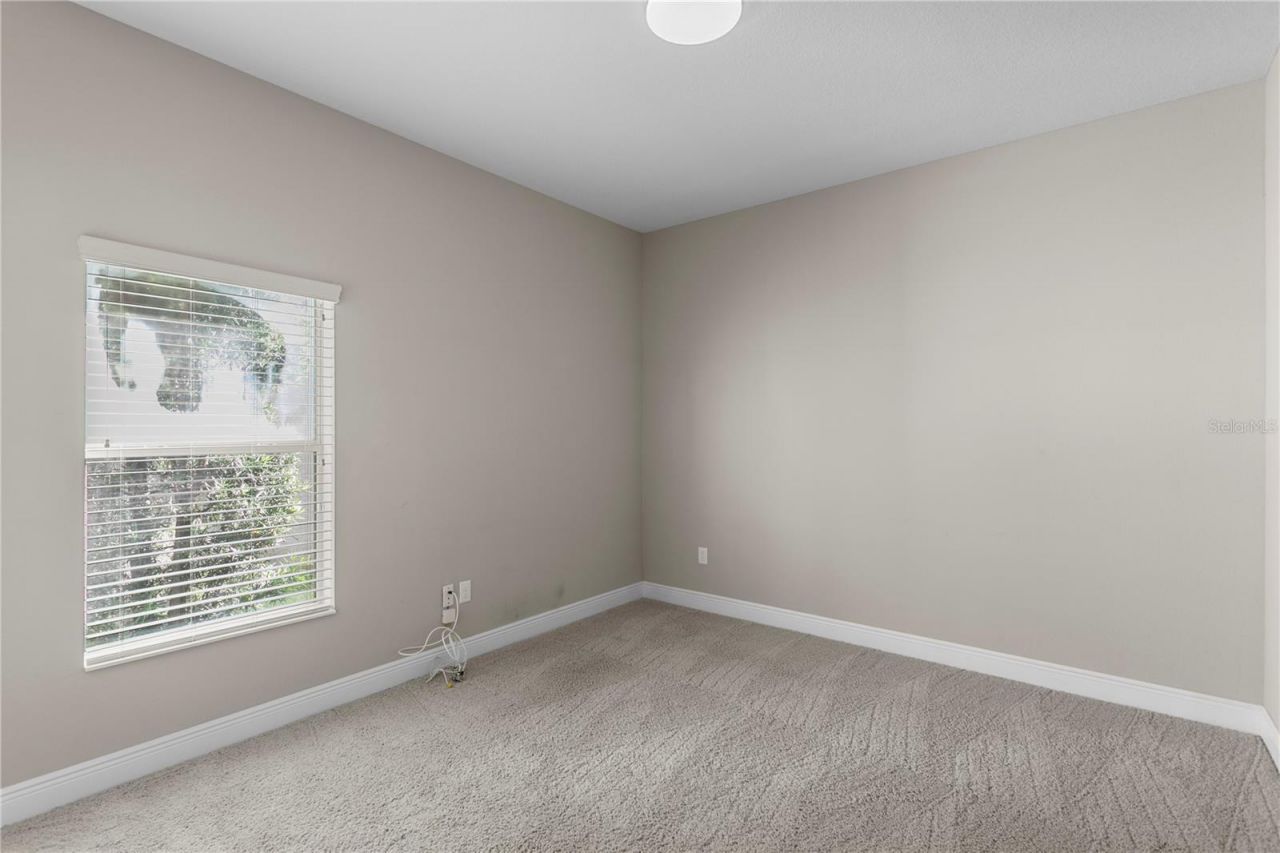 19303 Water Maple Drive, Tampa, FL 33647 Photo