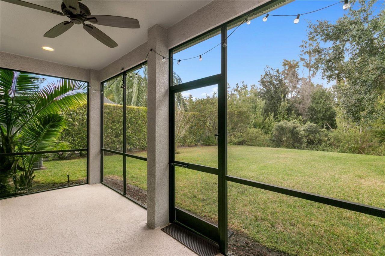 19303 Water Maple Drive, Tampa, FL 33647 Photo