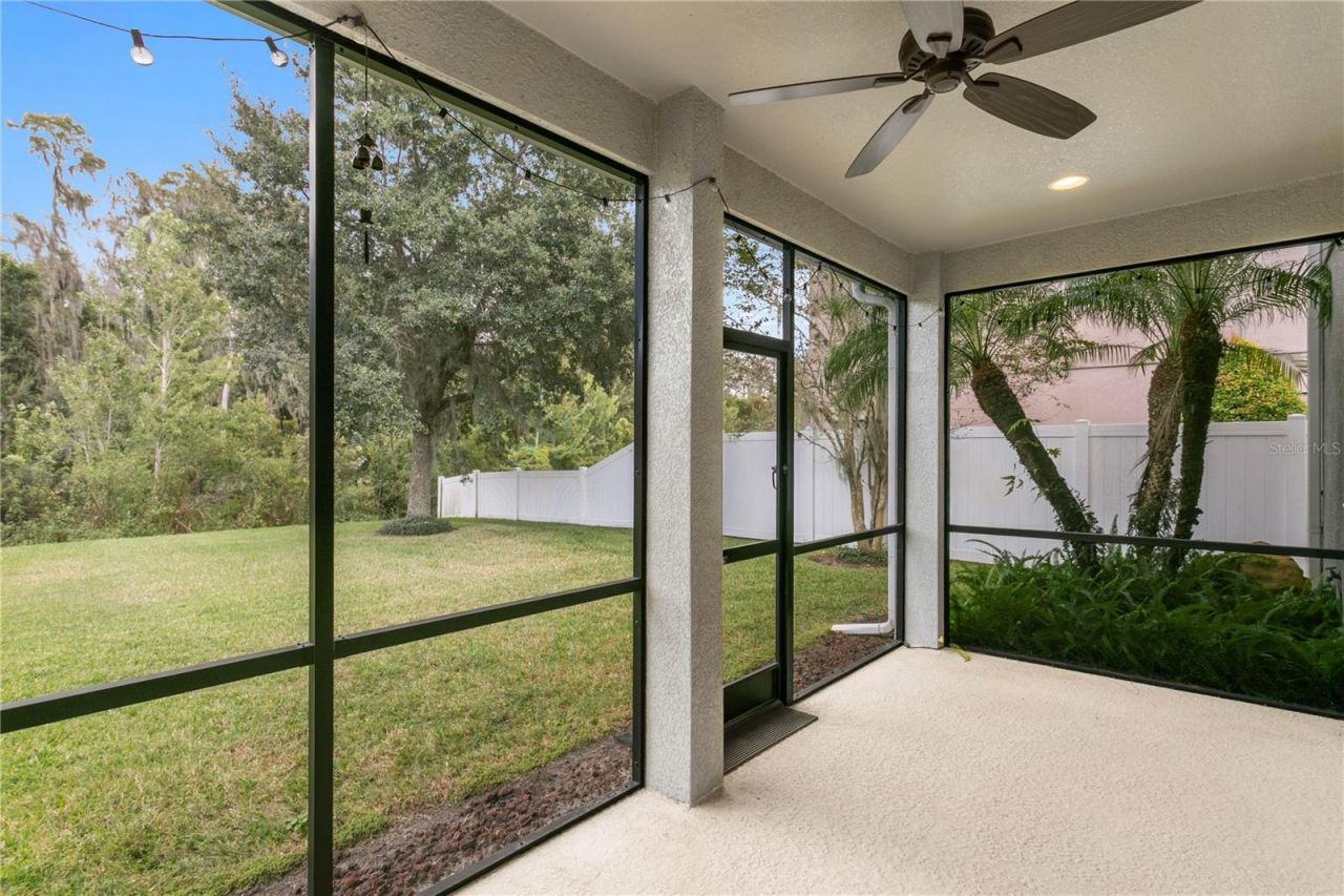 19303 Water Maple Drive, Tampa, FL 33647 Photo