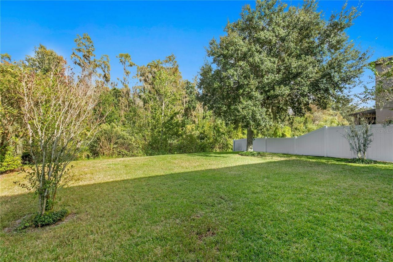 19303 Water Maple Drive, Tampa, FL 33647 Photo