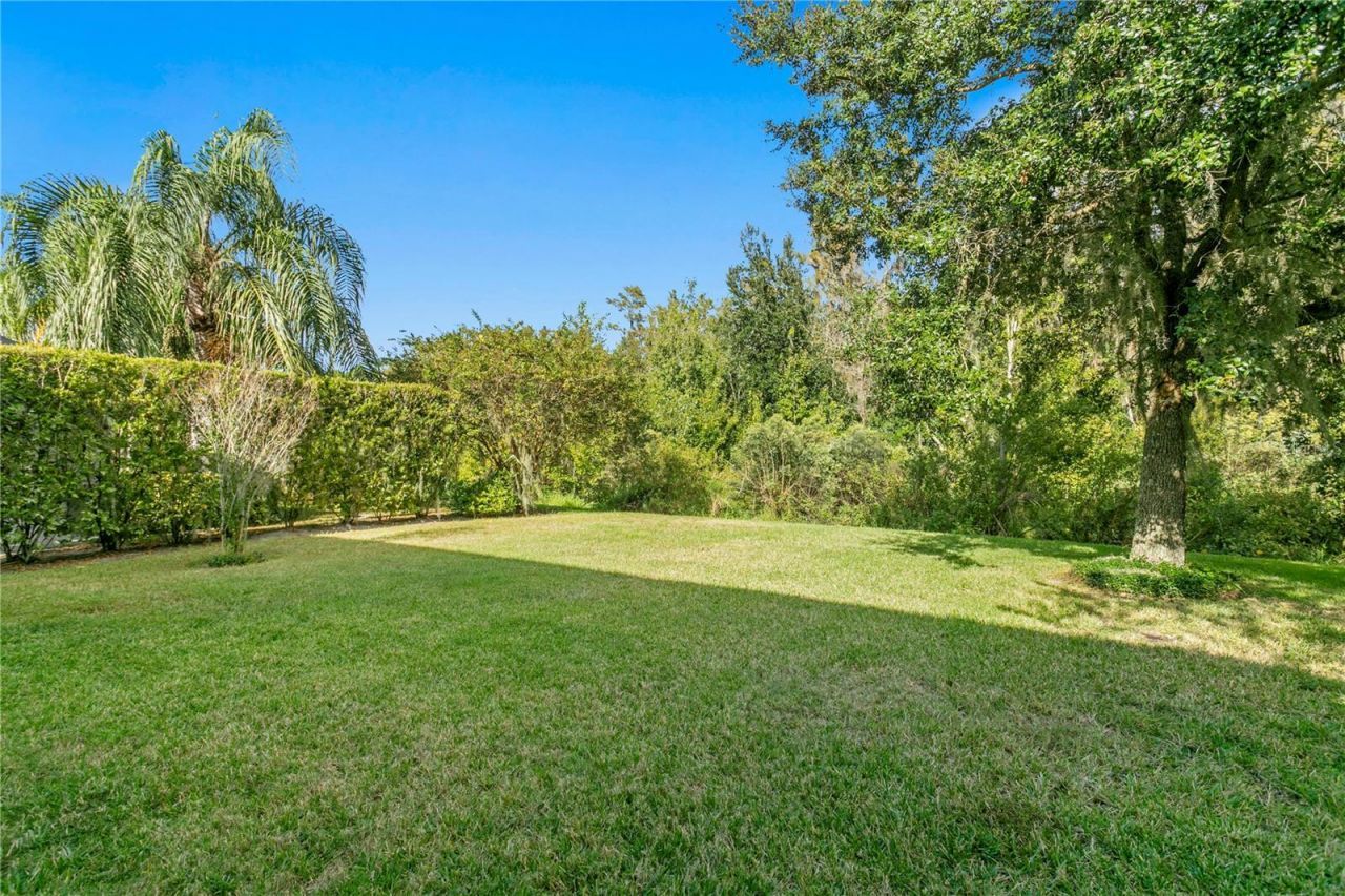 19303 Water Maple Drive, Tampa, FL 33647 Photo