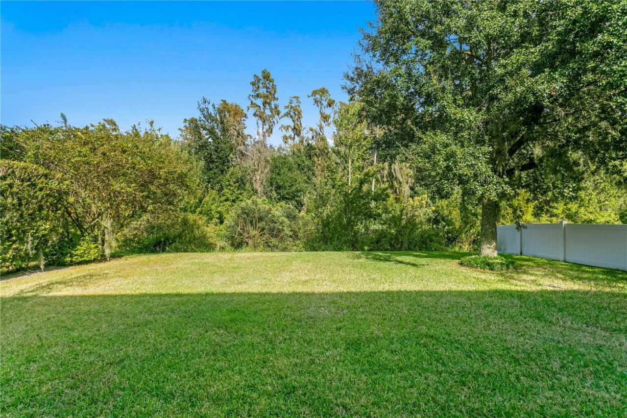 19303 Water Maple Drive, Tampa, FL 33647 Photo