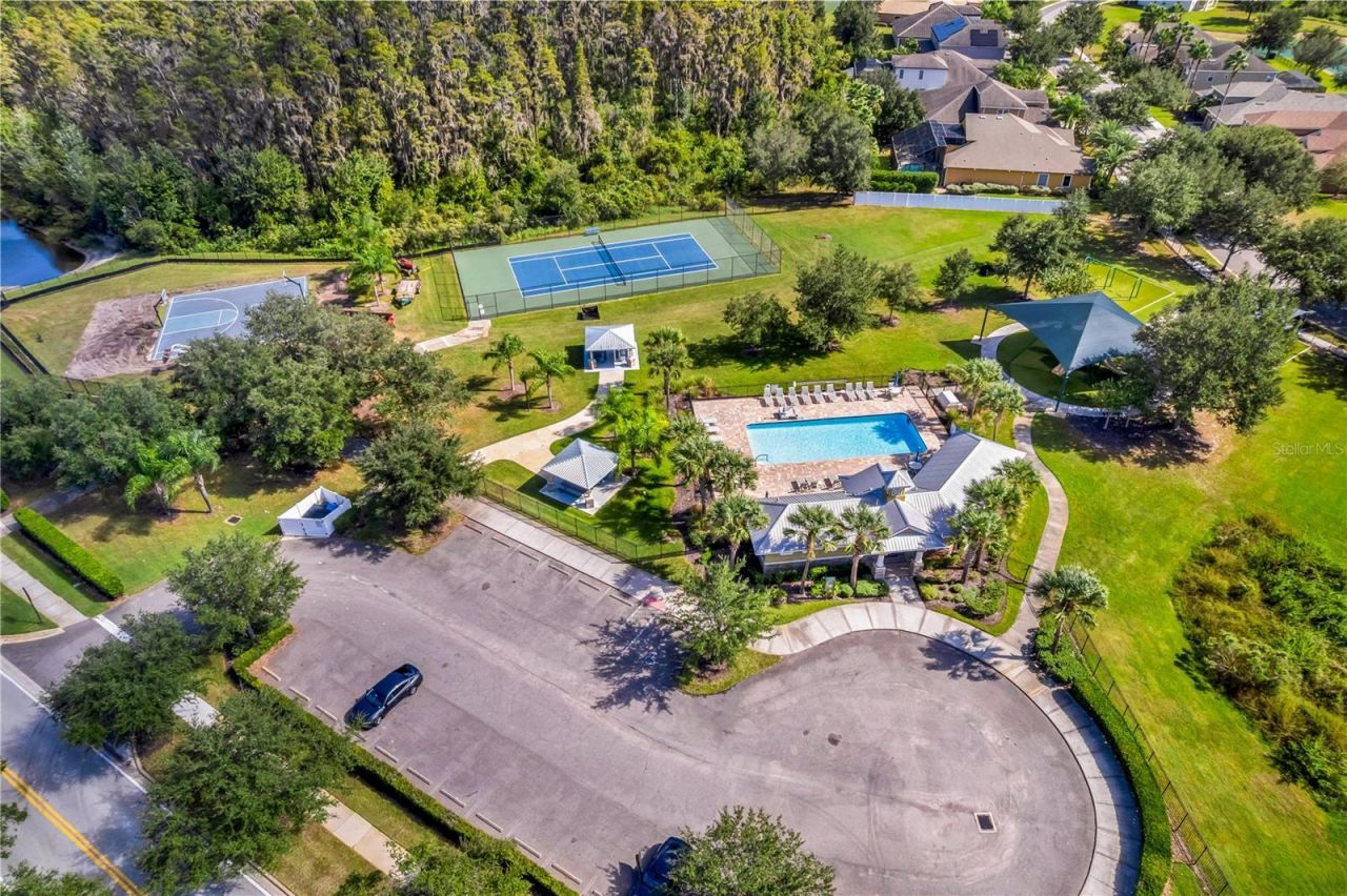 19303 Water Maple Drive, Tampa, FL 33647 Photo