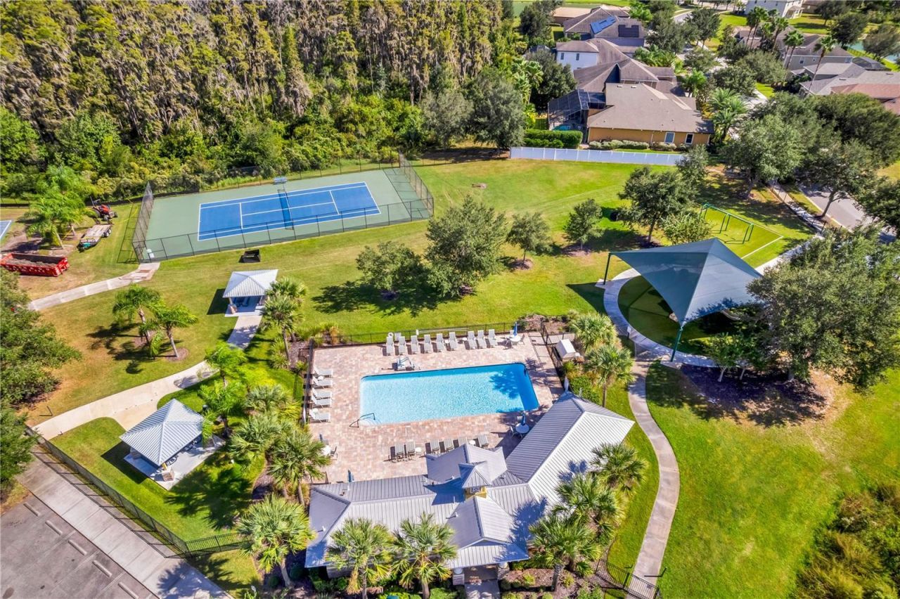 19303 Water Maple Drive, Tampa, FL 33647 Photo