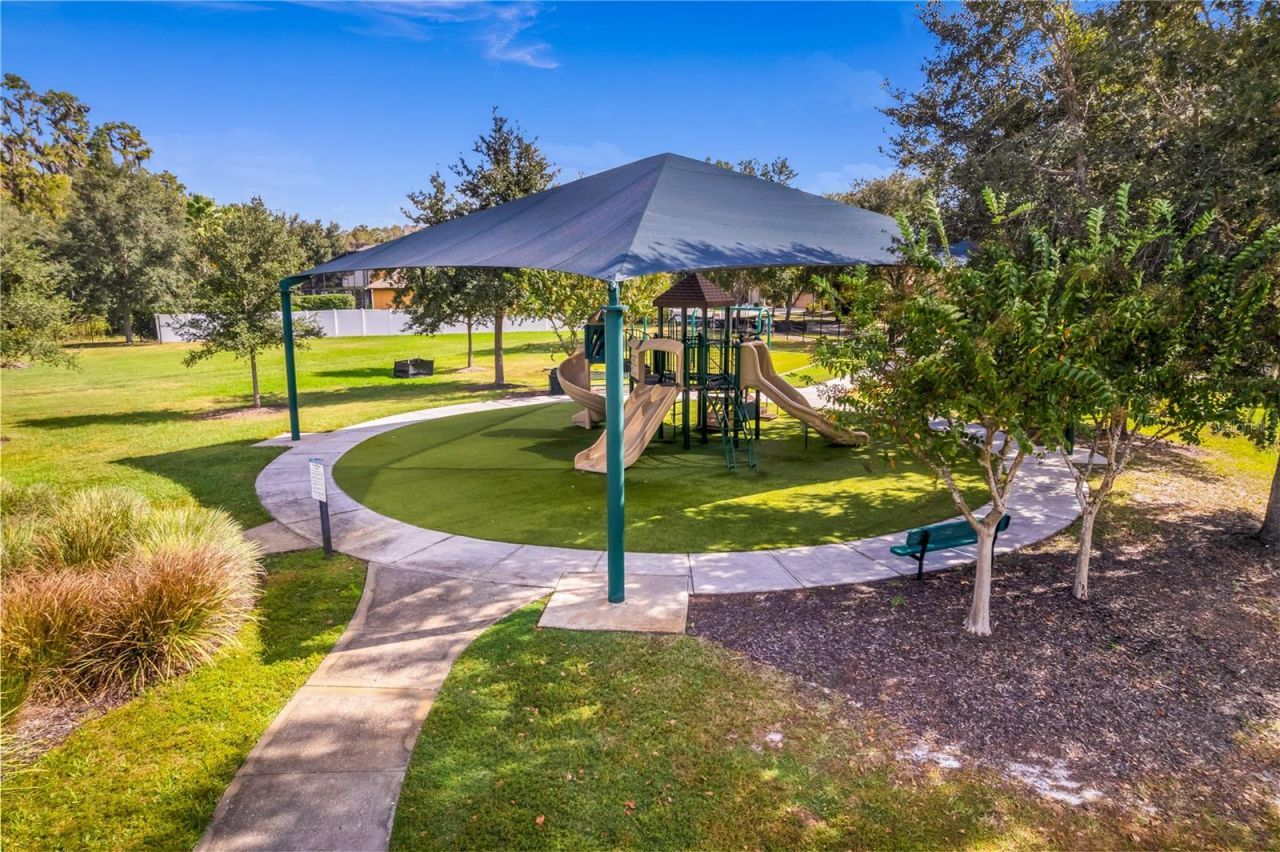 19303 Water Maple Drive, Tampa, FL 33647 Photo