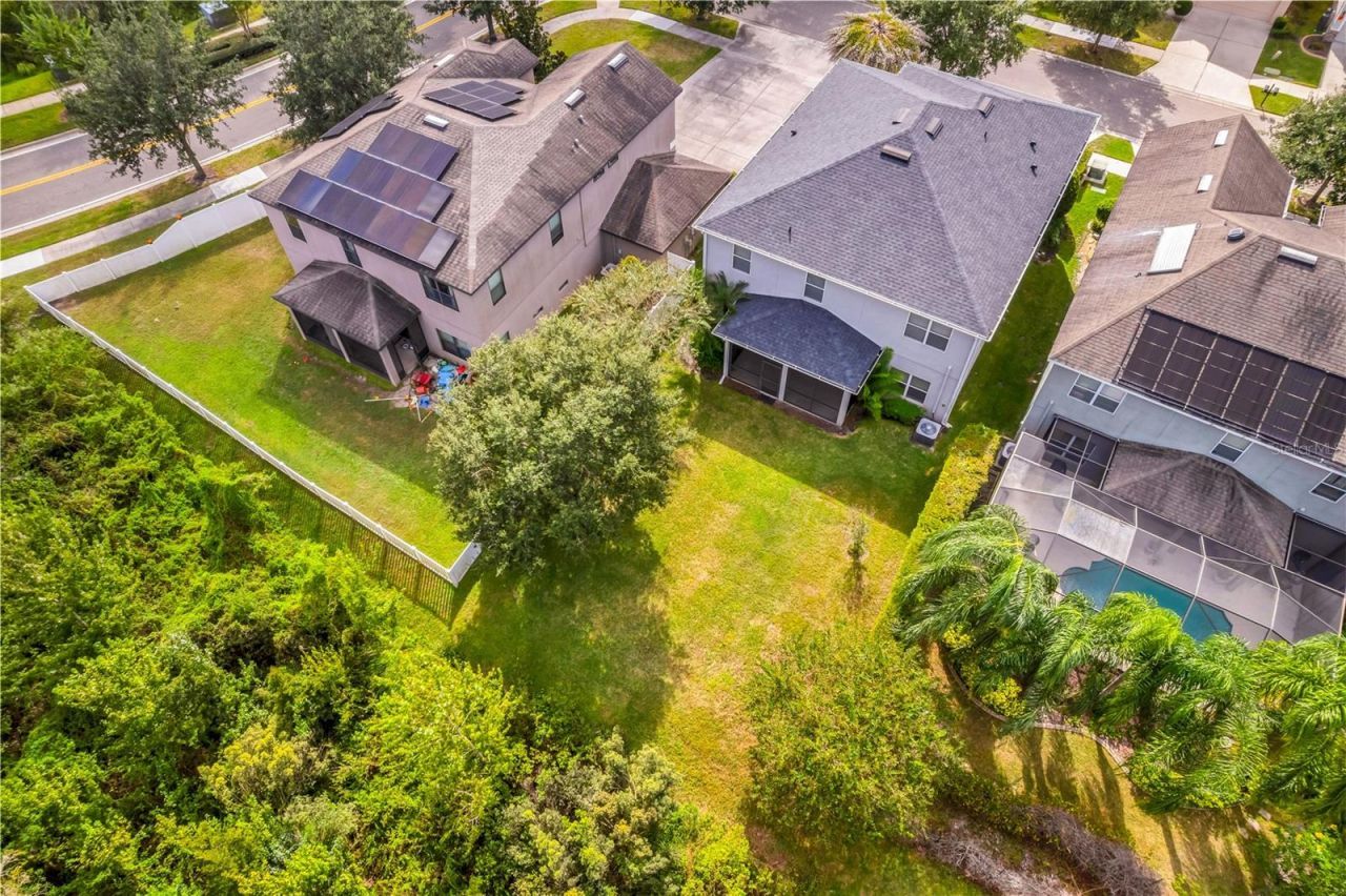 19303 Water Maple Drive, Tampa, FL 33647 Photo