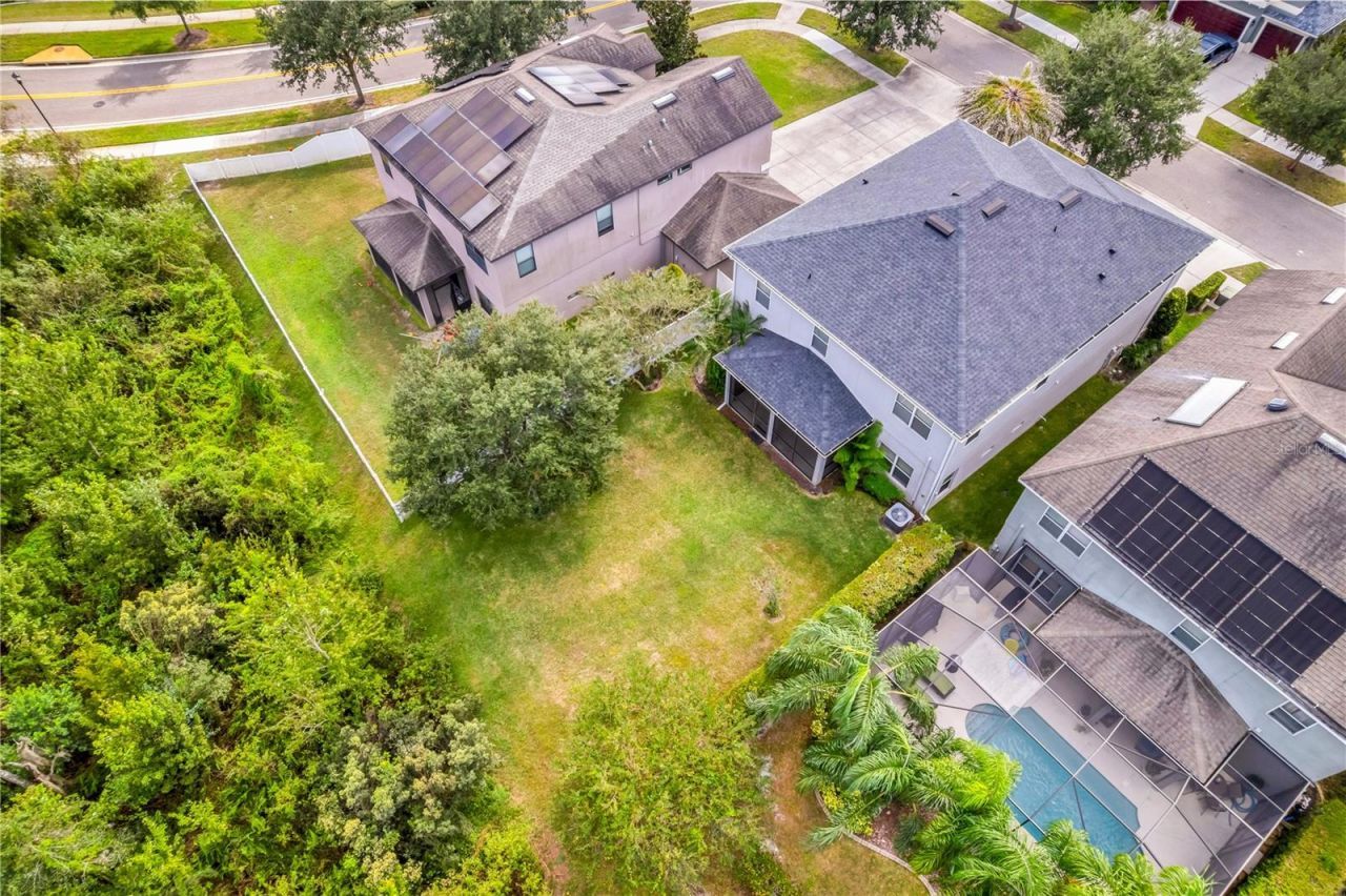 19303 Water Maple Drive, Tampa, FL 33647 Photo