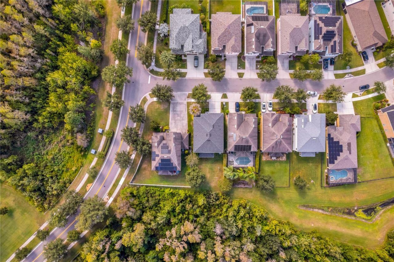 19303 Water Maple Drive, Tampa, FL 33647 Photo