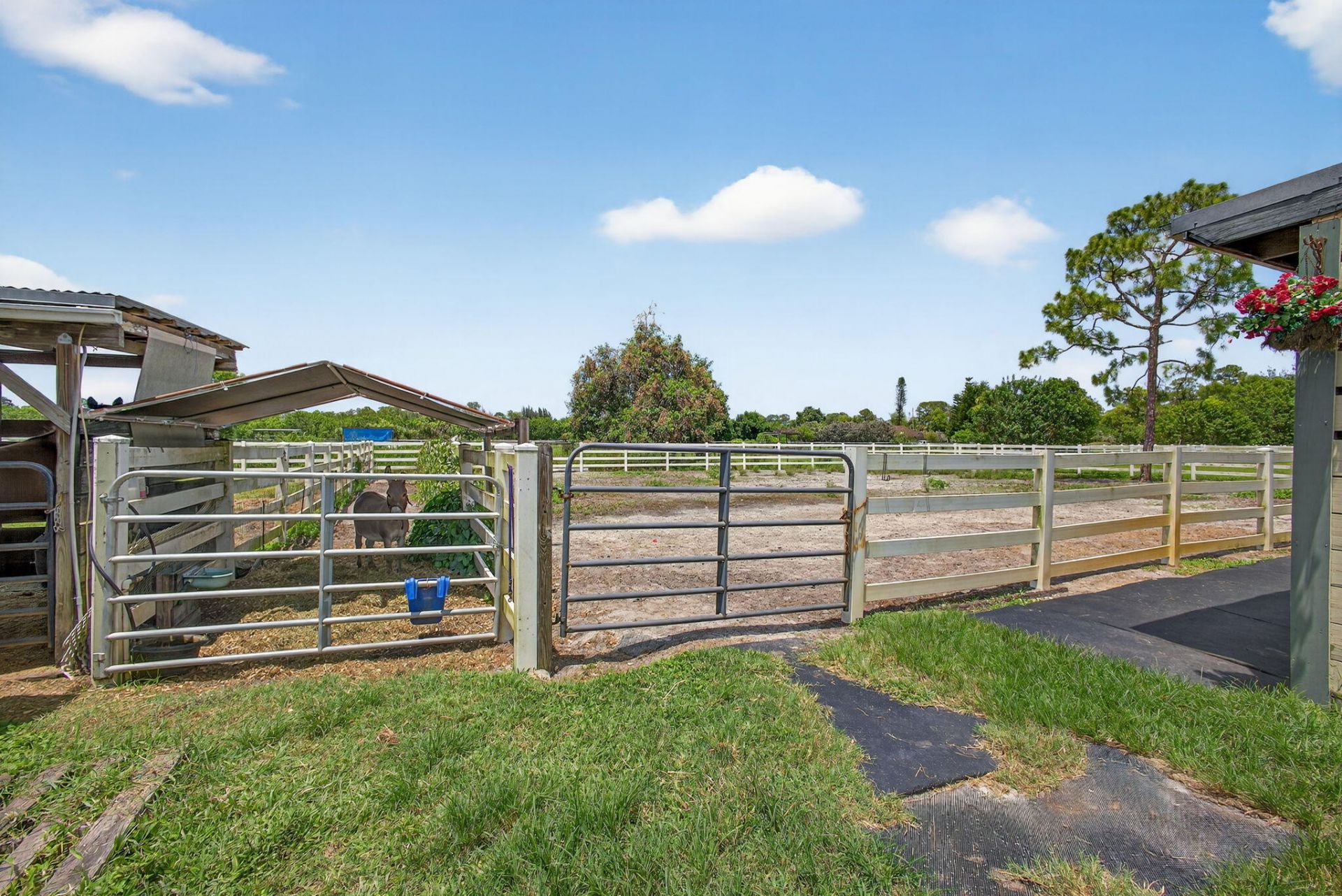 14095 Biddex Road, Loxahatchee Groves, FL 33470 Photo