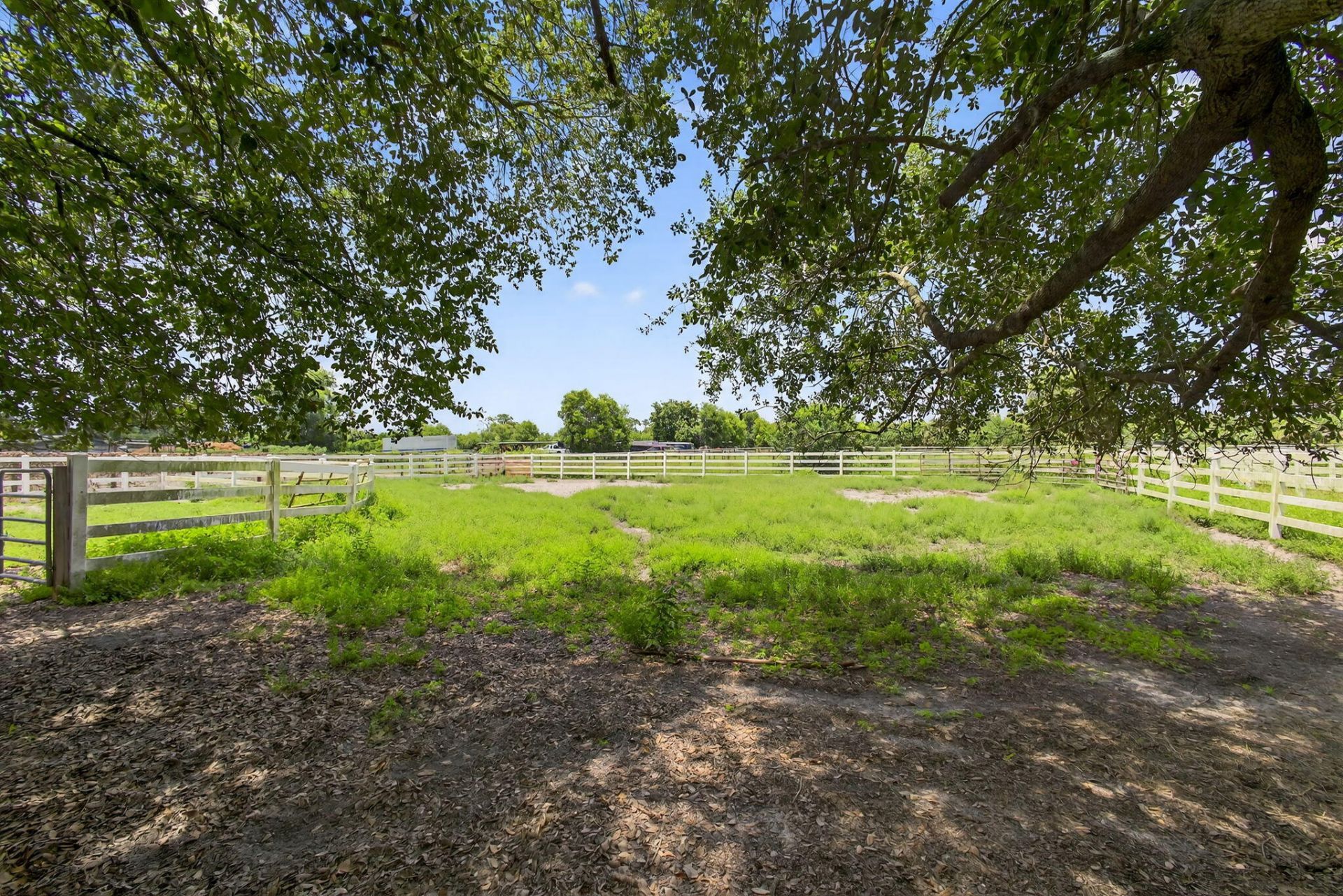 14095 Biddex Road, Loxahatchee Groves, FL 33470 Photo