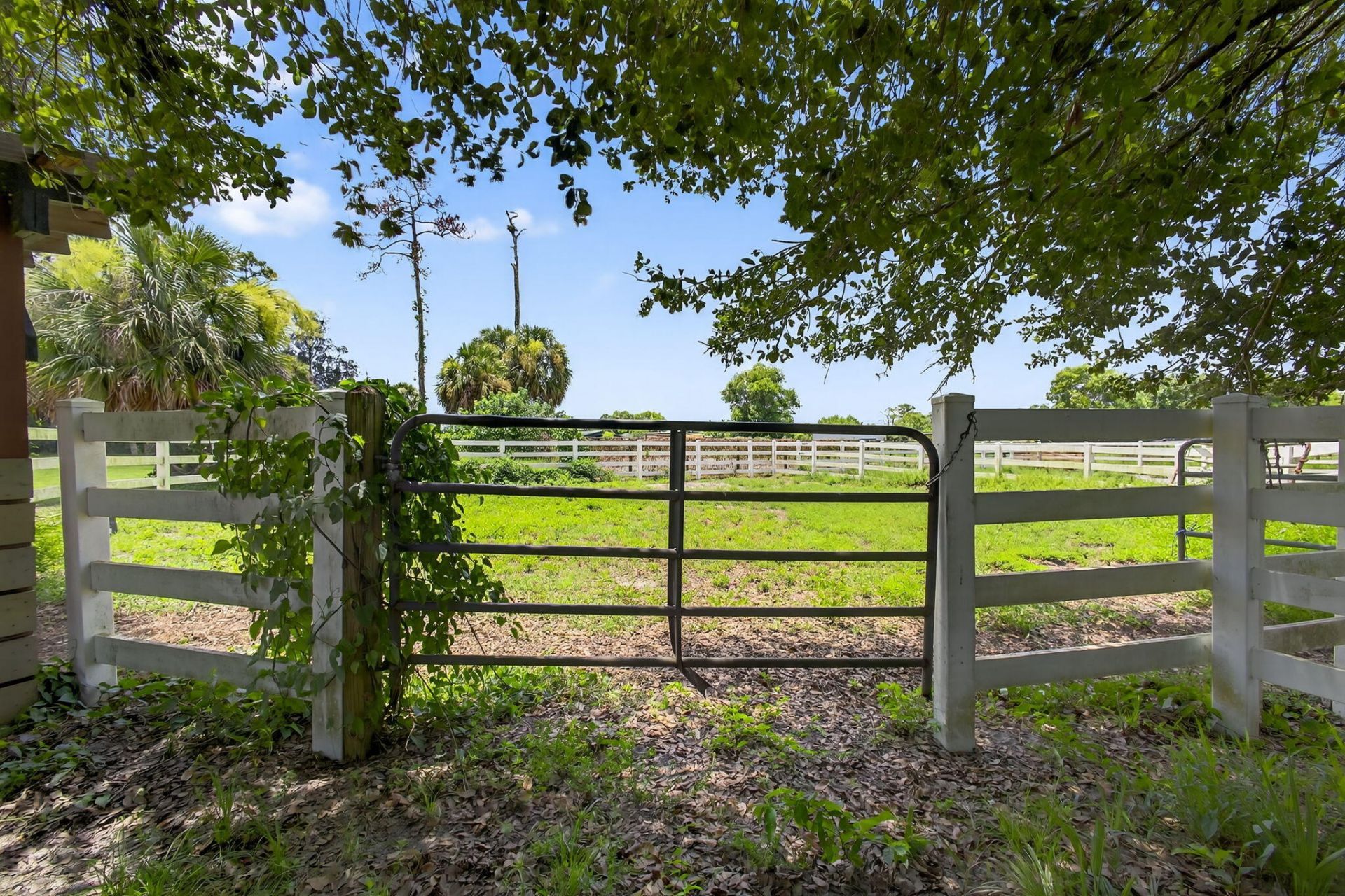 14095 Biddex Road, Loxahatchee Groves, FL 33470 Photo