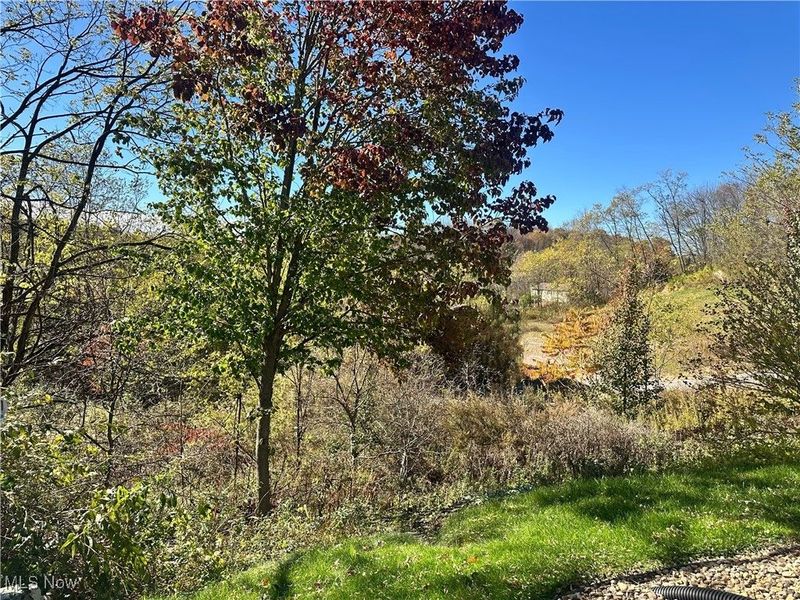 14980 Sprucevale Road, Unit 116, Calcutta, OH 43920 Photo 26