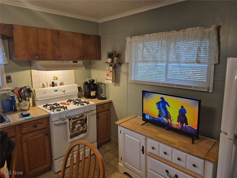 1514 Commerce Street, Wellsville, OH 43968 Photo 2