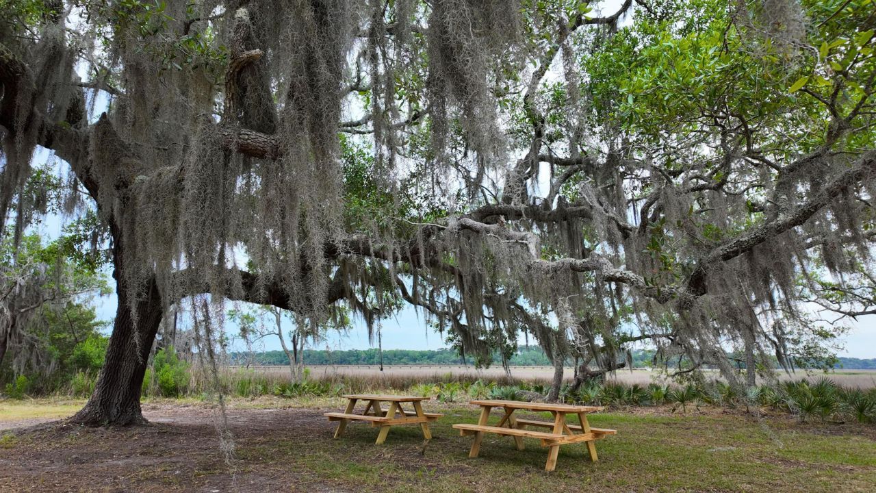 88 Founders Oak Way Photo 6