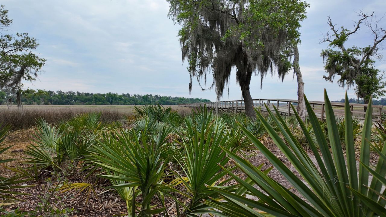 88 Founders Oak Way Photo 8