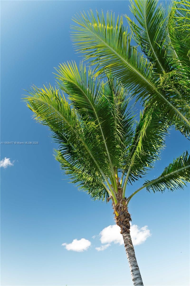 309 S Riverside Dr, Pompano Beach, FL 33062 Photo