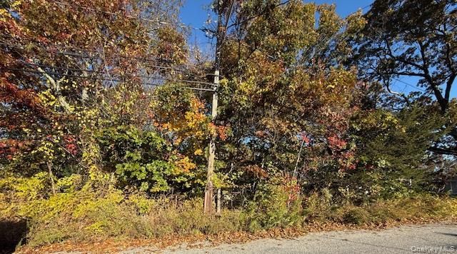 48 Newton Boulevard, Ronkonkoma, NY 11779 Main Photo