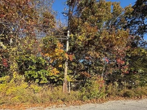 48 Newton Boulevard, Ronkonkoma, NY 11779