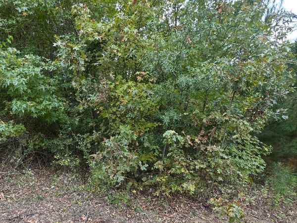 354 Harrison Ave, Camden, AR 71701