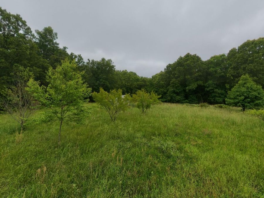 Property Image 72
