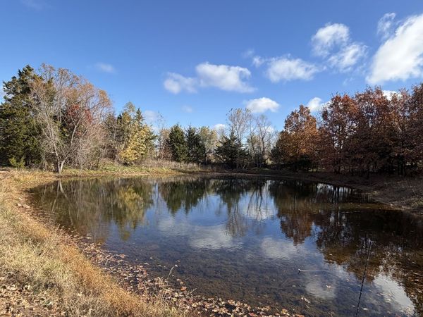 3505 SE 1379 Road, Weaubleau, MO 65774