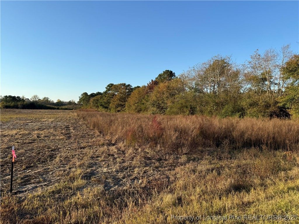 4083 Collier Road, Wade, NC 28395 Main Photo