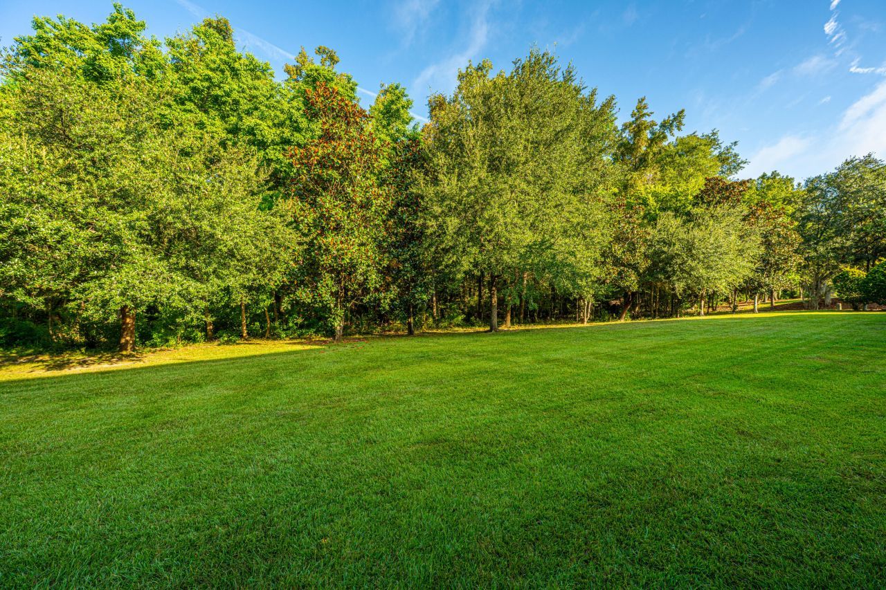 169 Darcy Avenue Photo 13