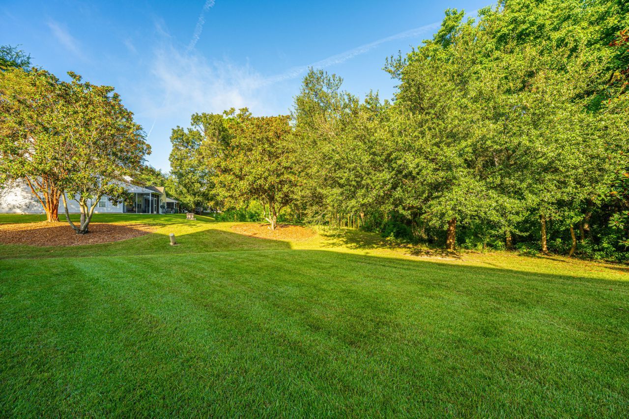 169 Darcy Avenue Photo 36