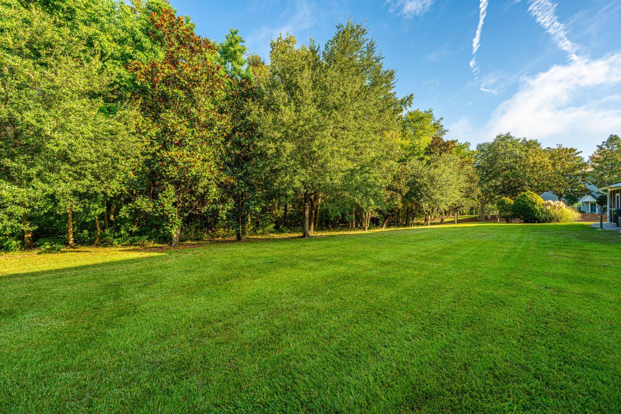 169 Darcy Avenue Photo 37