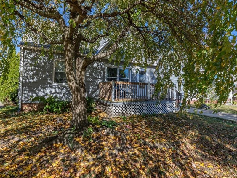 13810 Clifford Avenue, Cleveland, OH 44135 Photo 2