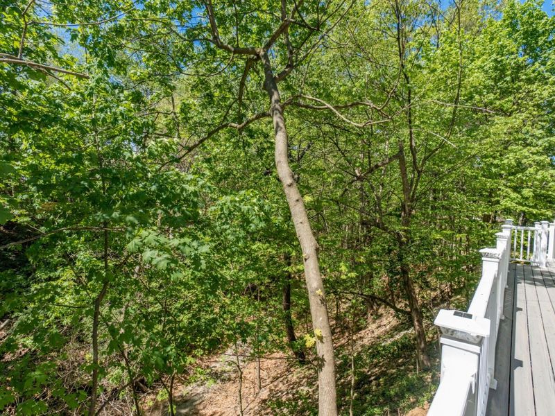 415 Glen Echo Circle, Columbus, OH 43202 Photo 59