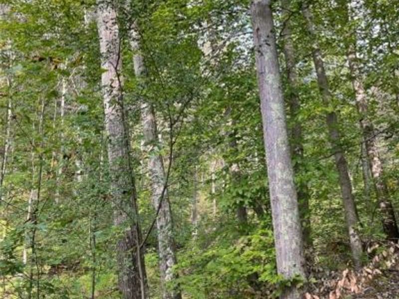 21995 Harrons Ridge Road, Dexter City, OH 45727 Photo 25