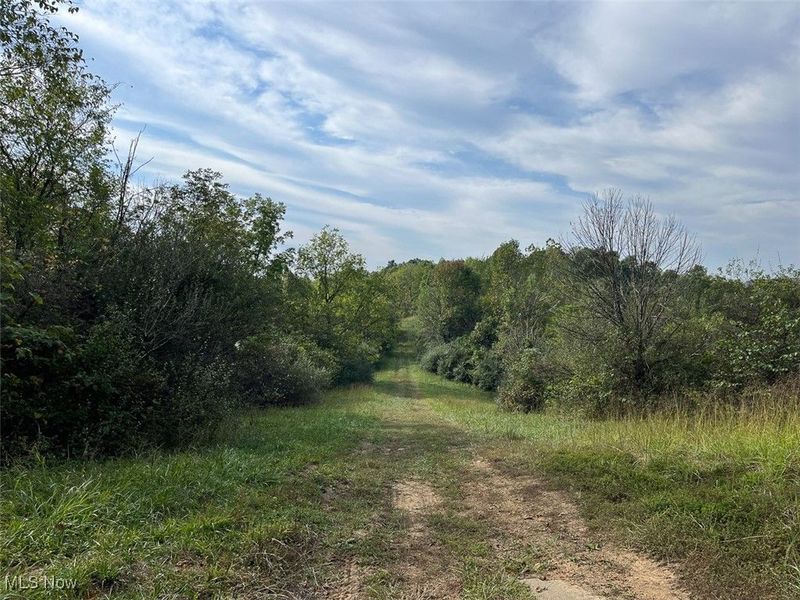 21995 Harrons Ridge Road, Dexter City, OH 45727 Photo 27